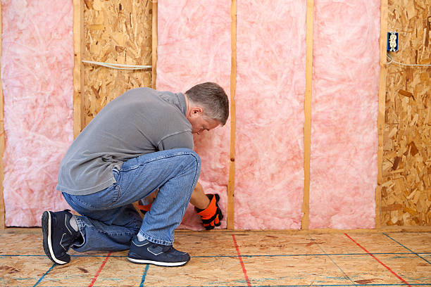 Types of Insulation We Offer in Harlingen, TX